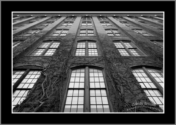 City Windows Black and White Photography